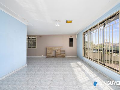 16 Mckibbin Street, Canley Heights