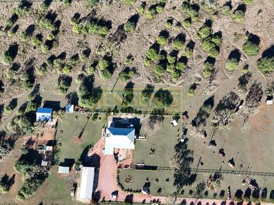 428 Sandy Creek Road, Southern Cross