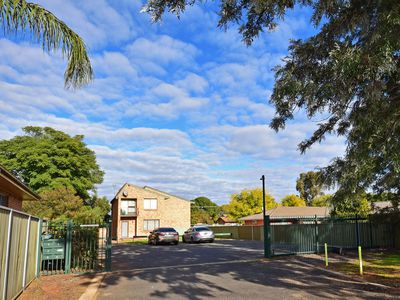 Dubbo