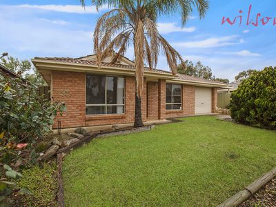 17 Pine View Drive, Paralowie