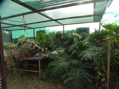 14 Williamson Street, Dookie