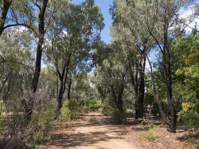 6 Cloonawillin Close, Dubbo