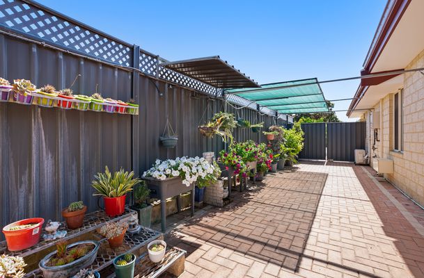 17 Bettong Street, Baldivis