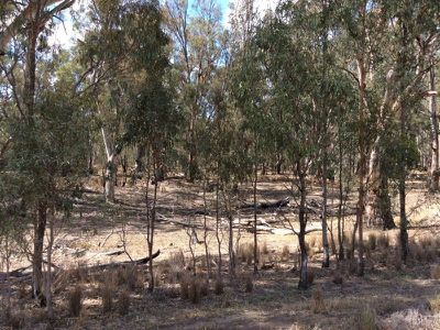 Deniliquin Road, Moulamein