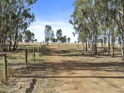 1149 Woolshed Road, Tocumwal