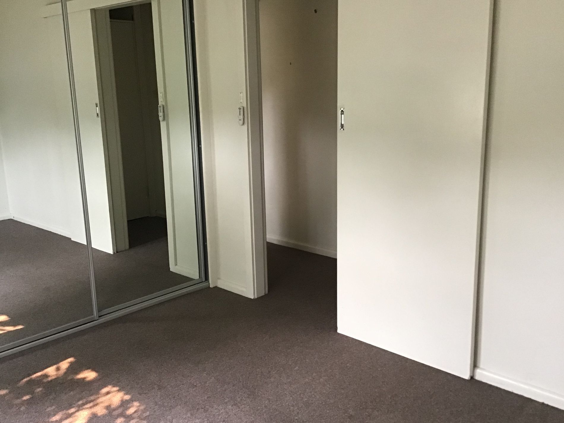 43 Sassafras Avenue, Windang