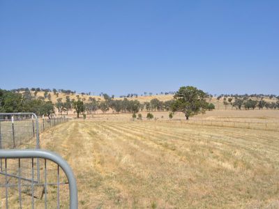 Urana Road, Jindera