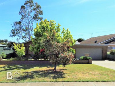 3 Houlahan Street, Kennington