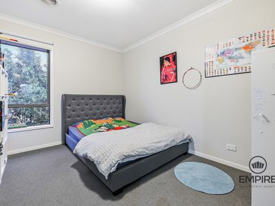 16 Domingo Avenue, Clyde North