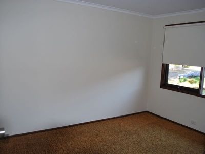 16 Conifer Street, Albion Park Rail