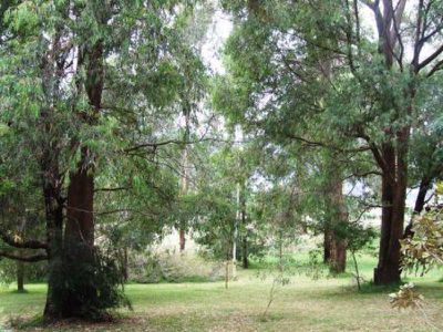 35 Diggings Road , Tawonga