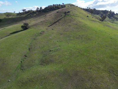 Lot 1, LP135805 Kiewa East Road, Tangambalanga