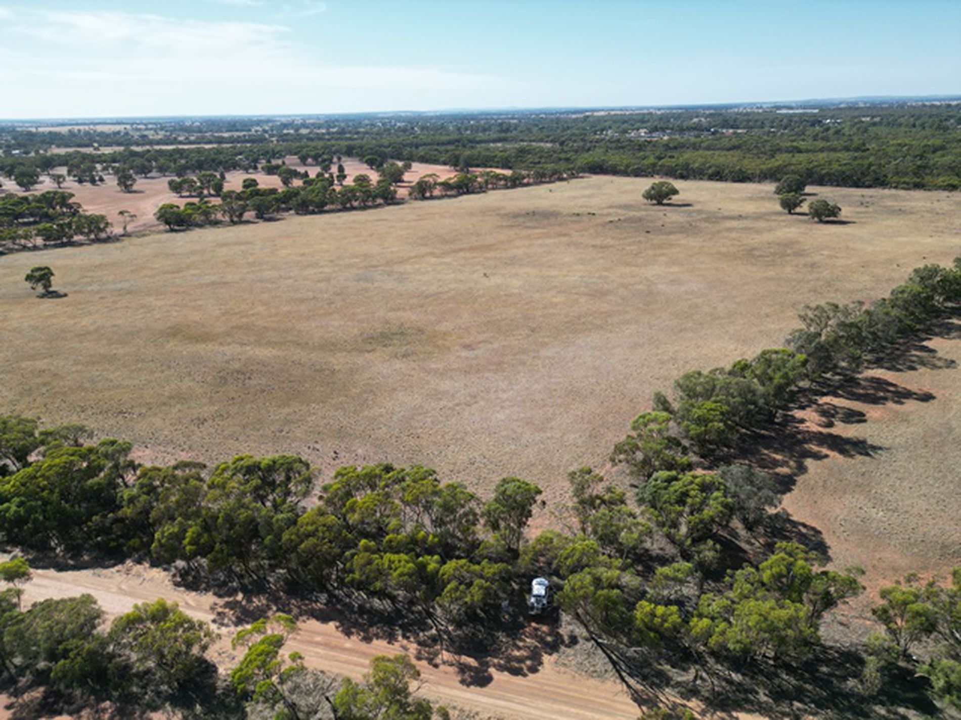 Lot 663, Wootten Street, West Wyalong