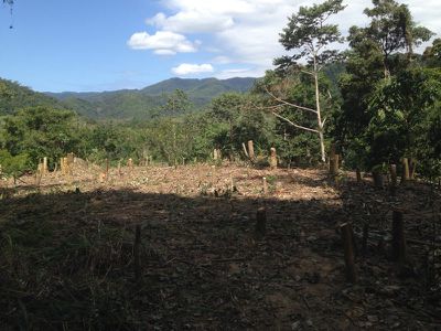 3326 Bloomfield Road, Bloomfield