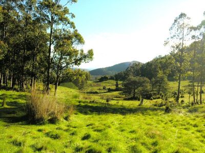 Halls Track Road, Pelverata