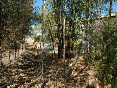 14 Stilt Street, Longreach