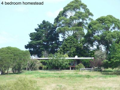 449 Sheepskin Road, Burragate