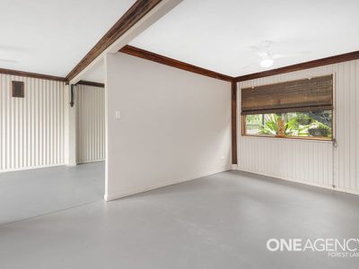14 Megan St, Camira