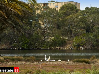 24 Sopwith Elbow, Maylands