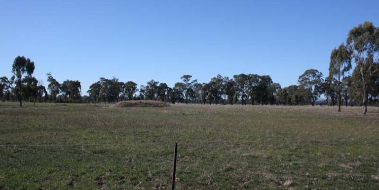 54 / Thorndyke Drive, Miepoll