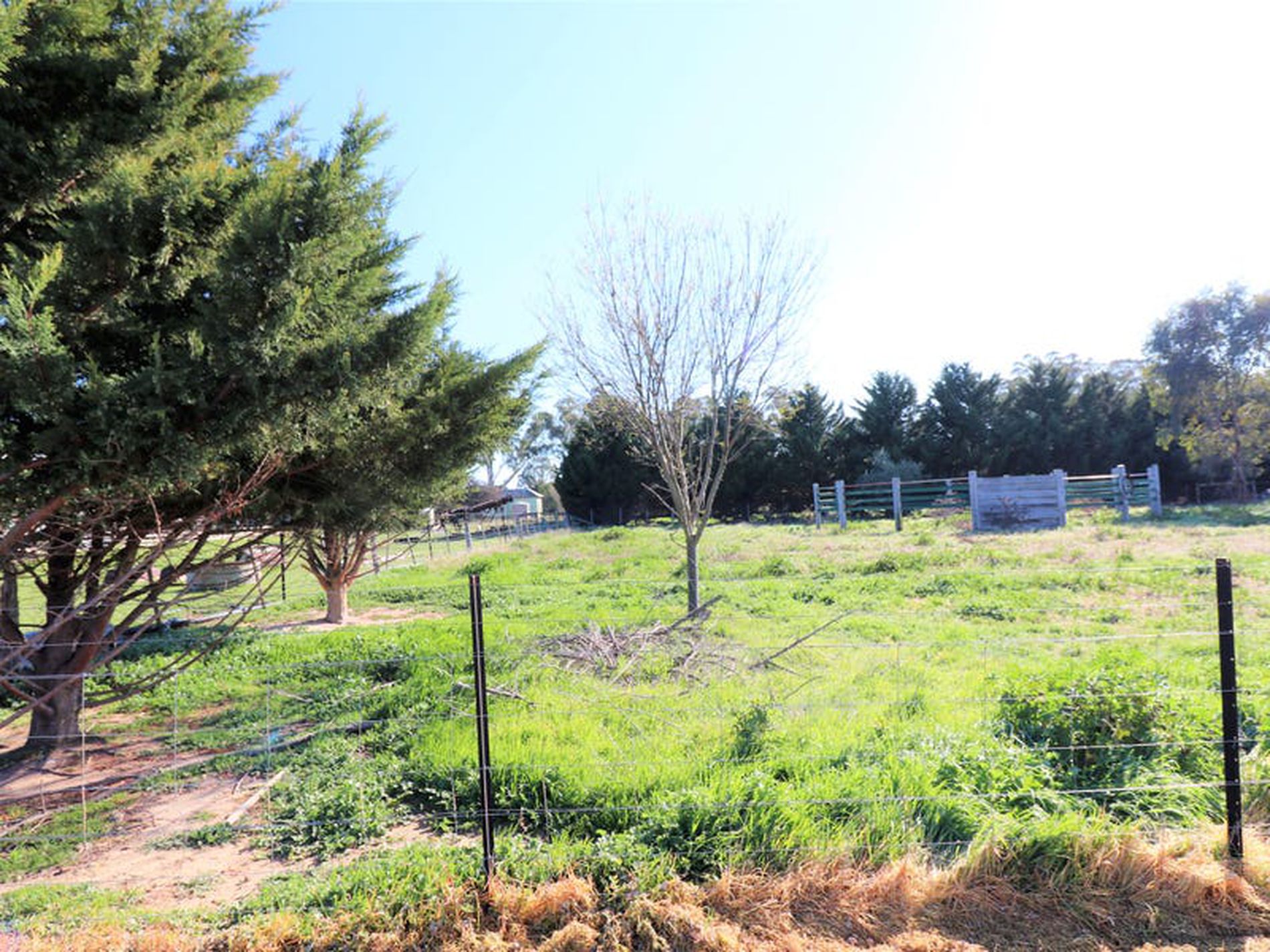 12 Farrah Place, Avenel