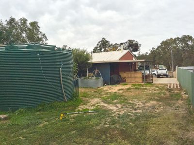 7 Gnowing Street, Wandering