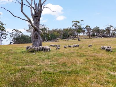 "Kheme Hill" Eastwood Road, York Plains