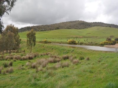 Beechworth-Wodonga Road, Wooragee
