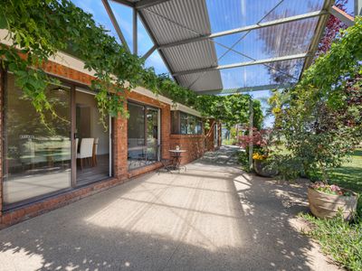 1007 Great Alpine Road, Tarrawingee