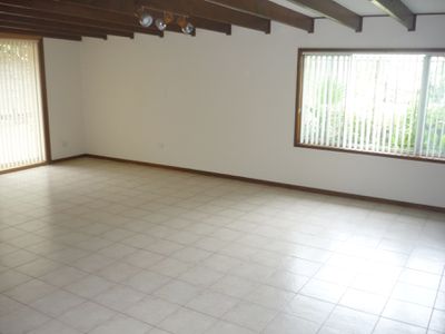 59 Morgan Avenue, Mount Warrigal