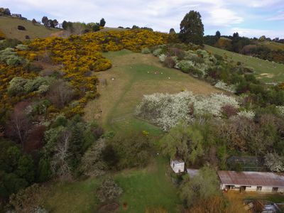 317 Chain Hills Road, Mosgiel
