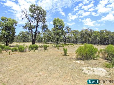 117 Lewis Road, Heathcote