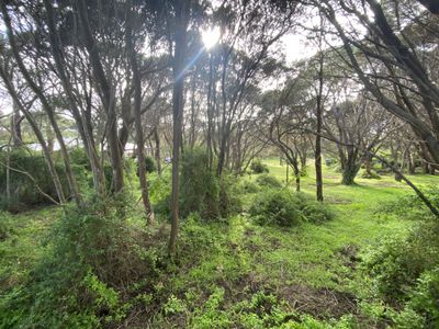 11 Marianne Avenue, Rye