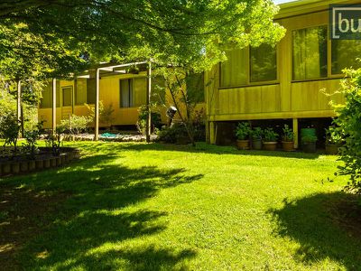 1161 Yackandandah-Dederang Road, Dederang