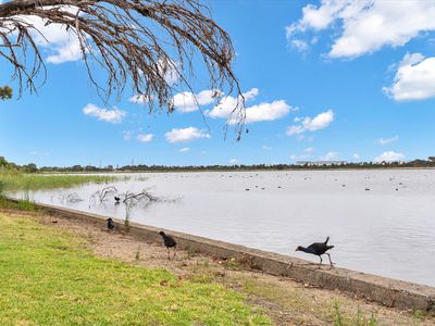 15b Curtin Court, Altona