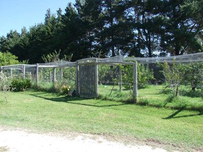 620 Back Creek Road, Lochiel