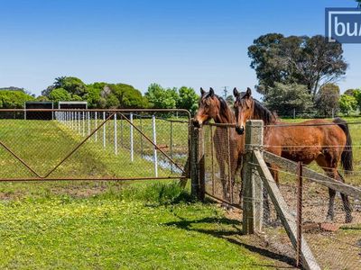 Galactic Park - Murray Valley Highway, Rutherglen