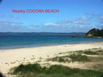 53 Ida Rodd Drive, Eden