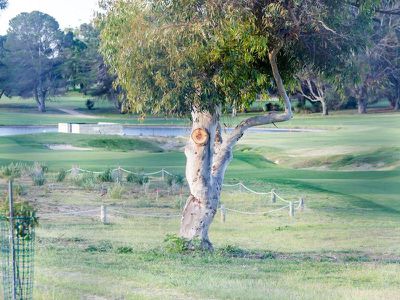 6 Russley Grove, Yanchep