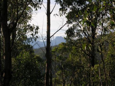 Halls  Track Road, Pelverata
