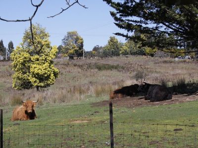 173 Jacksons Road, Franklin