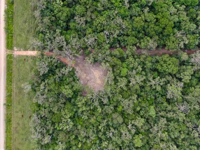 506 Cameron Creek Road, Cooktown