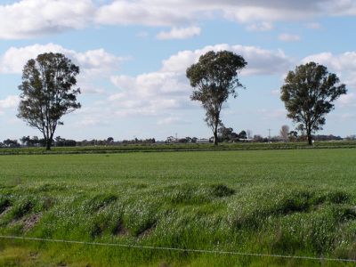 Tullakool