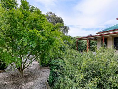 17 Livingstone St, Avenel