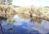 2077 Ophir Road, Bathurst
