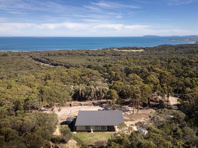 Lot 1 / 1290 Palana Road, Blue Rocks