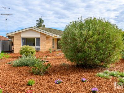 12 Shanto Ct, Dudley Park