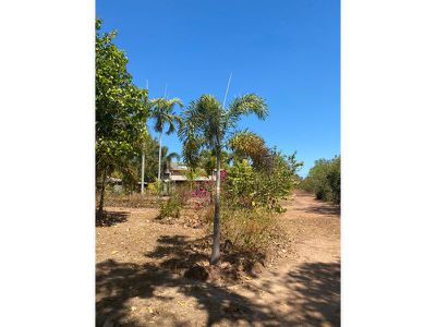 313 Mermaid Circuit, Dundee Beach