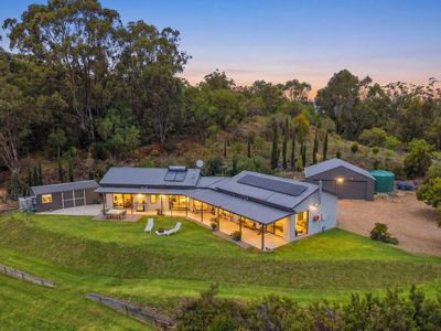 12 Scenic View, Razorback