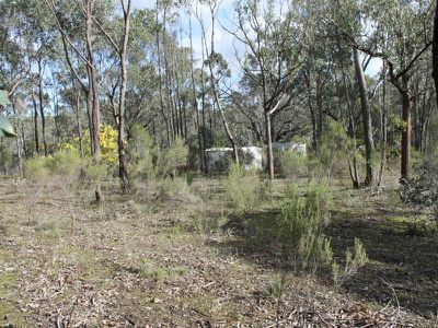 LOT 54 WARROWITUE-FOREST ROAD, Heathcote